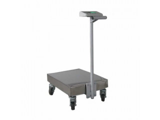 Certified A12 Platform weighing scale suppliers Kampala