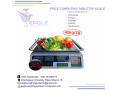 digital-industrial-weighing-scales-in-kampala-small-0