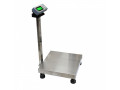 light-duty-platform-scales-small-0