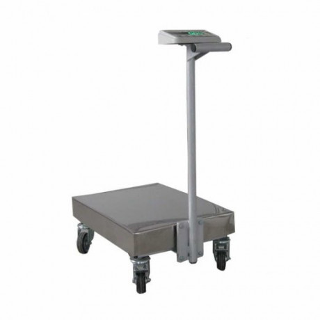 affordable-platform-weighing-scales-big-0