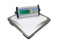 industrial-floor-scales-in-all-platform-sizes-1mx1m-2mx2m-small-0