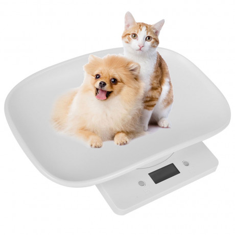 affordamle-baby-weighing-scales-of-up-to-25kg-weight-big-0